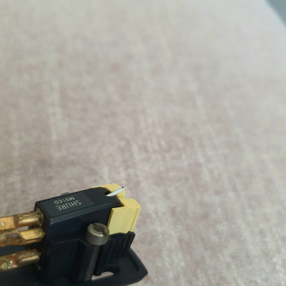 20250709_104546.jpg