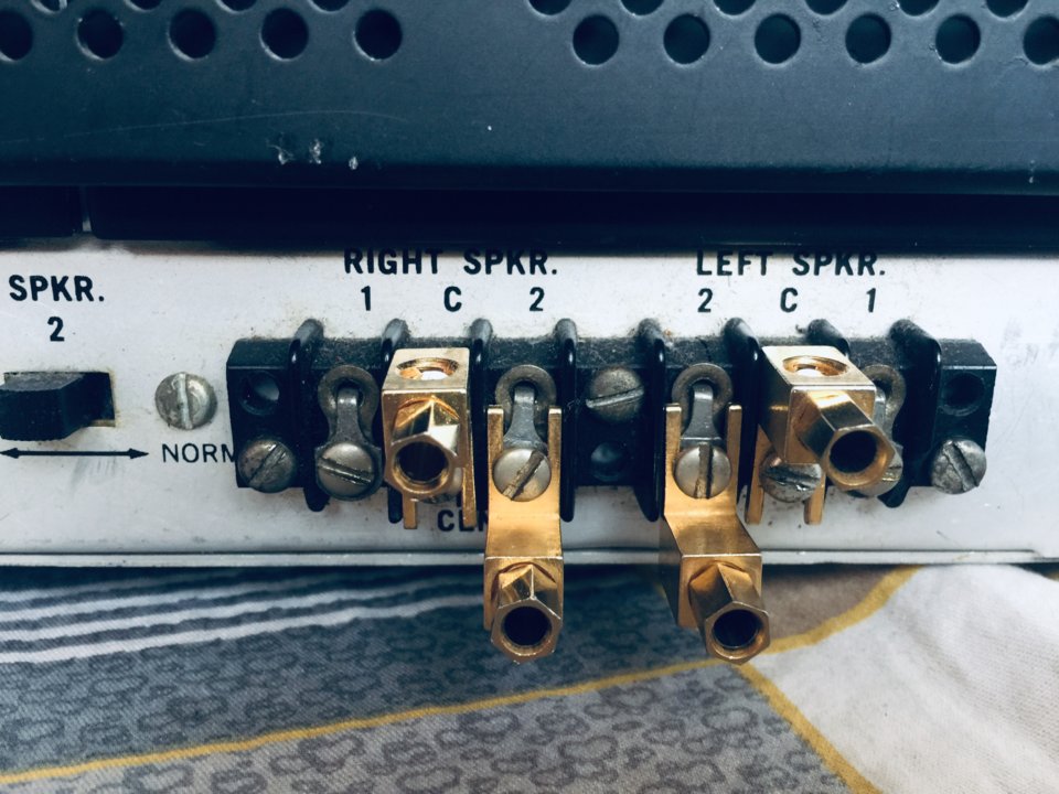 204FD8FC-9C57-411B-80BB-11CB5CAB70DD.jpeg