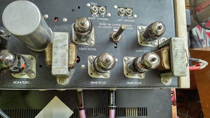20746289_10207175653789942_1421069320787624348_o.jpg