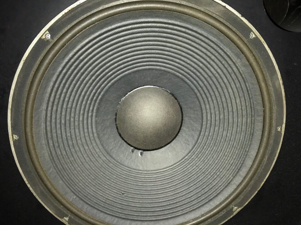 291764775_3235004380153506_8198085470323103625_n.jpg