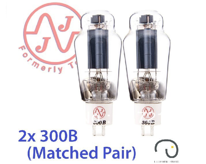 300b tube.jpg