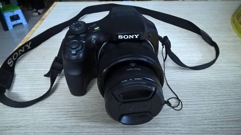3028009.jpg