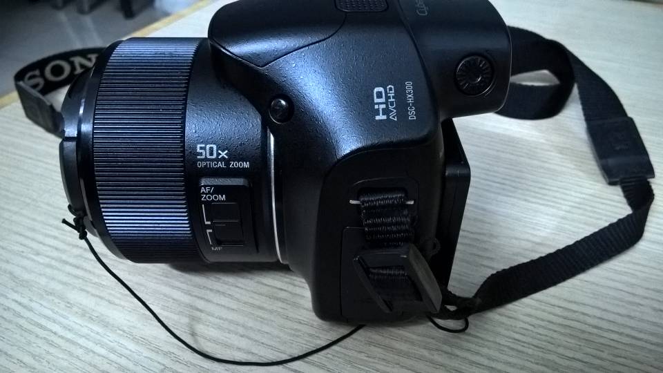 3047274.jpg