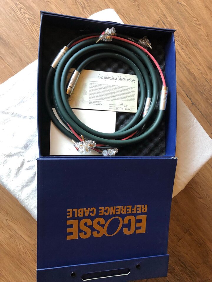 332686273_937433583935094_5566426263532621169_n.jpg