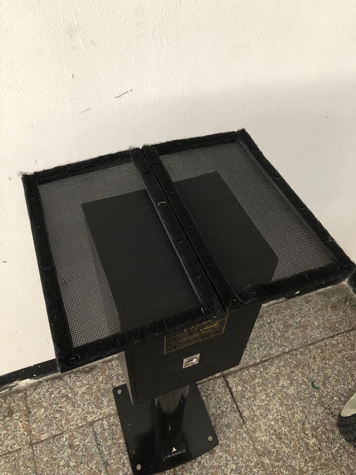 353583204_2023358424675843_109877531076849242_n.jpg