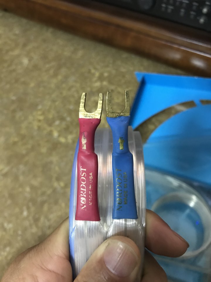 35DD4C97-3925-4AE6-AE4F-B77DA274B417.jpeg