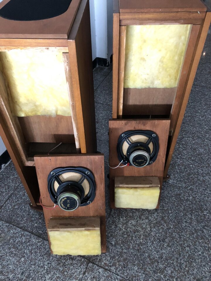 363501929_993976675167844_6688380227449219621_n.jpg
