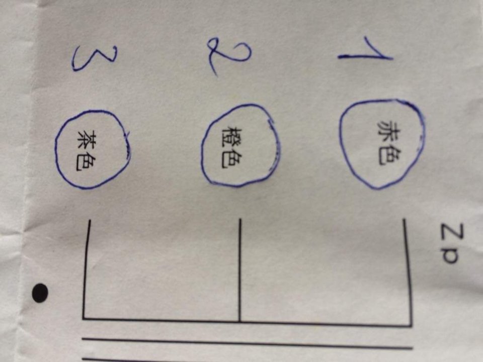 3F6C38B4-D8CF-401F-8D2F-8D028A5D567A.jpeg