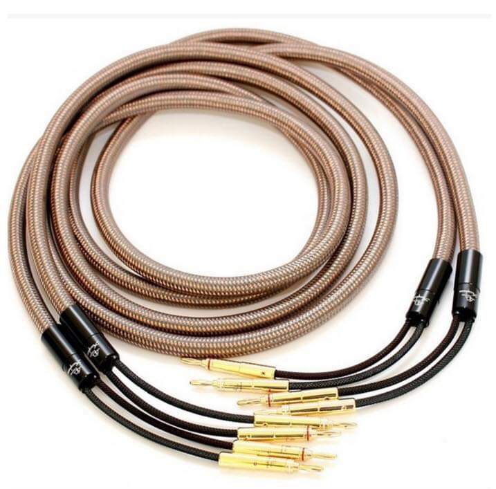 42373610_1871353569607134_2560866261600829440_n.jpg