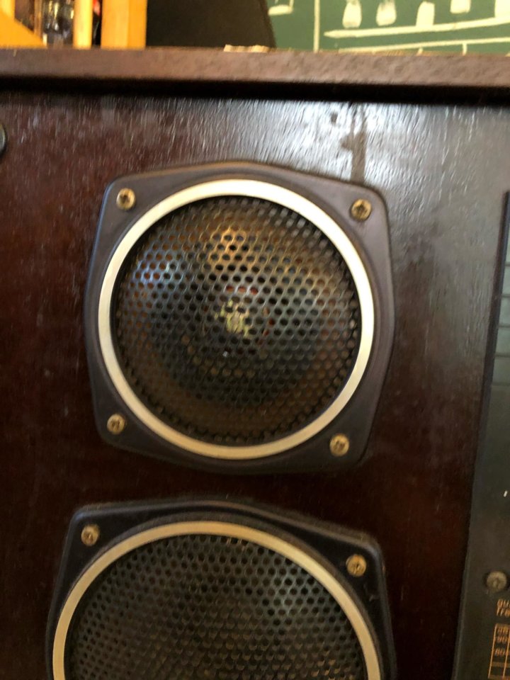 52378415_414798202395729_1174770784925646848_n.jpg