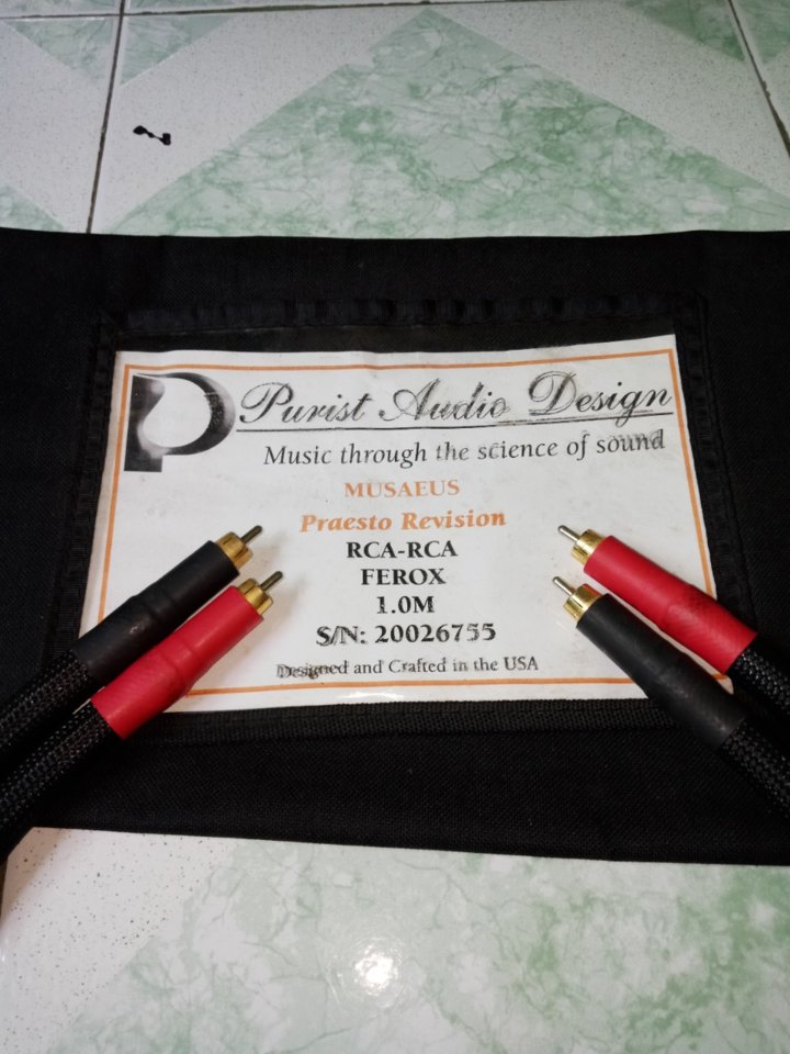 579ca5d72d90cbce9281.jpg