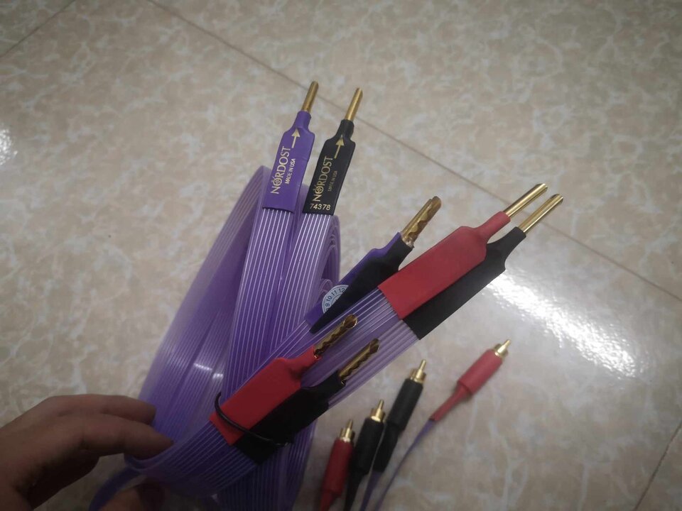 7c9bf52fe49936c76f88.jpg