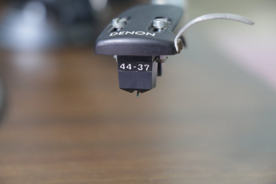 8984914833259710475_IMG_3553.JPG