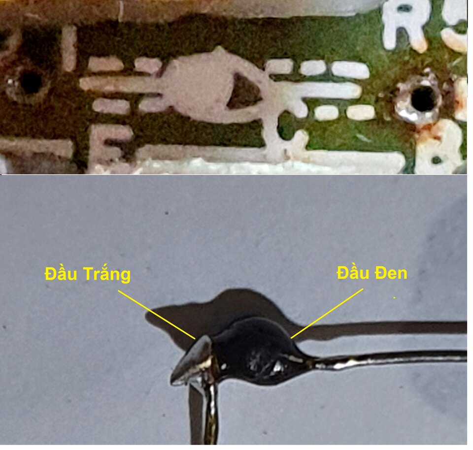8c24d7927ec3ae9df7d21.jpg