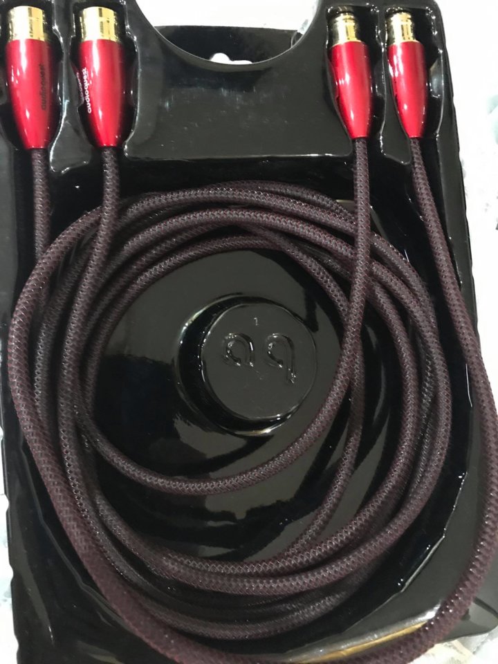 95018752_246346879886359_5466064097181171712_n.jpg