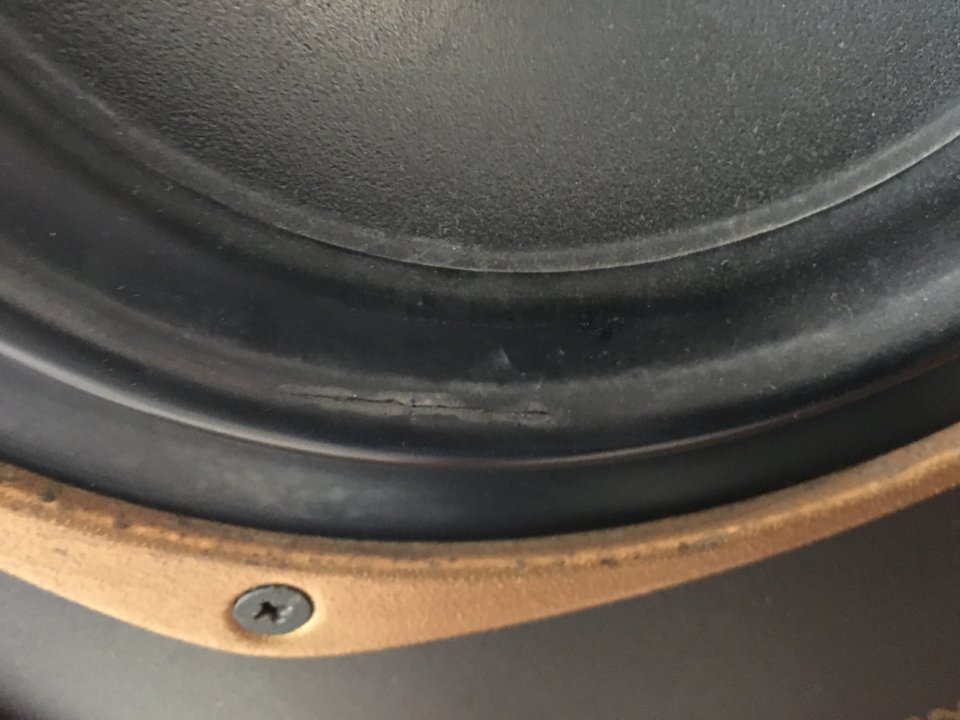 993947D5-9683-40EA-B3E5-C04EF4A70D9D.jpeg