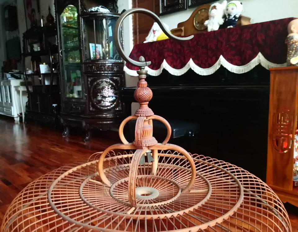 _20180520_072935.JPG