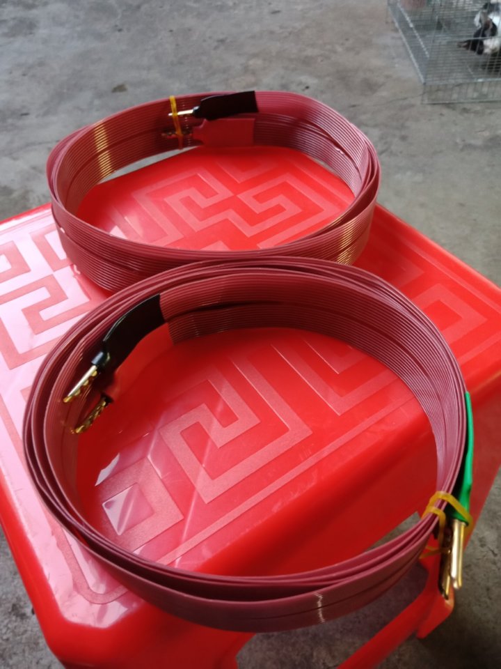 ae8c4dede1ec01b258fd.jpg