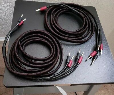 Audioquest-Rocket-33-BiWire-10ft-Speaker-Cable-Pair.jpg