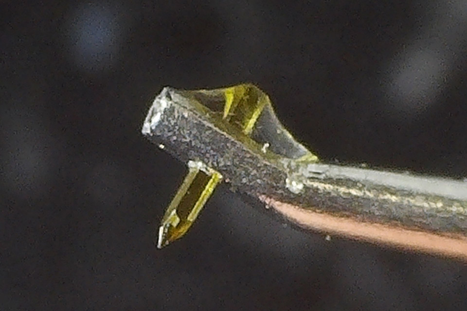 AVimg_28655.jpg