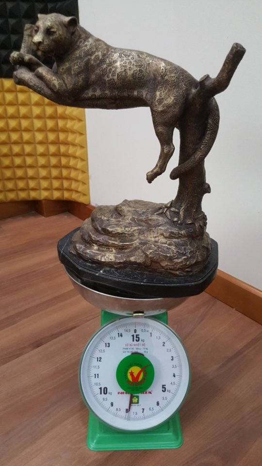 Báo.jpg