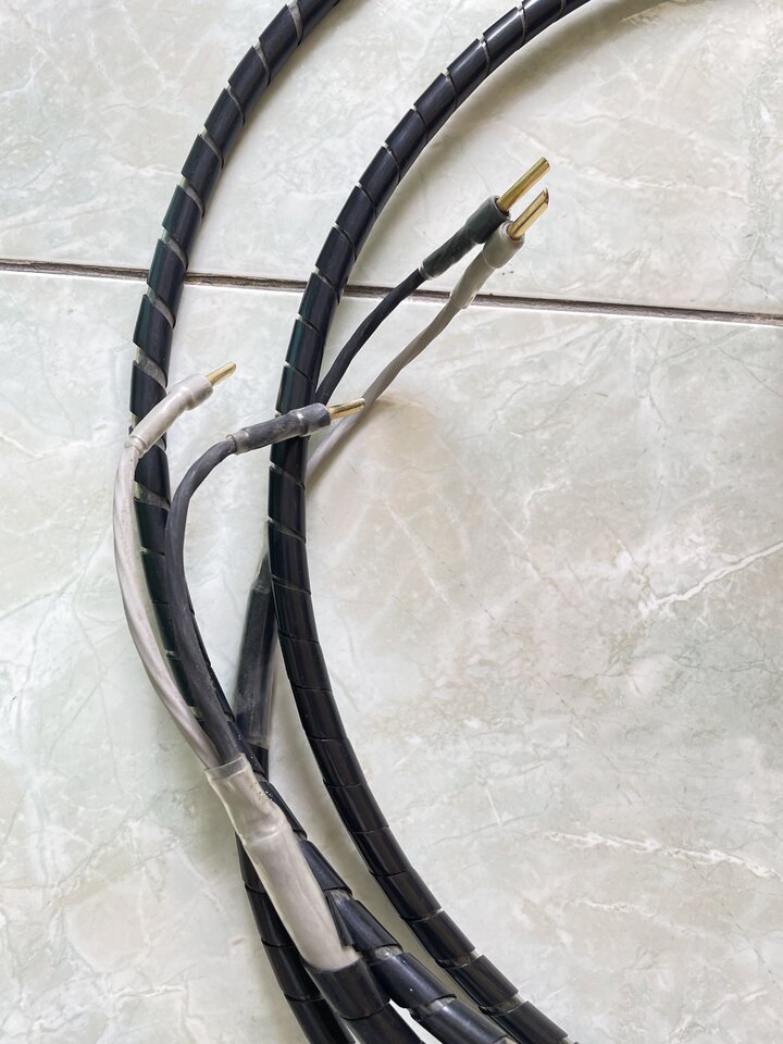 dây loa silent Mkii 4.jpeg