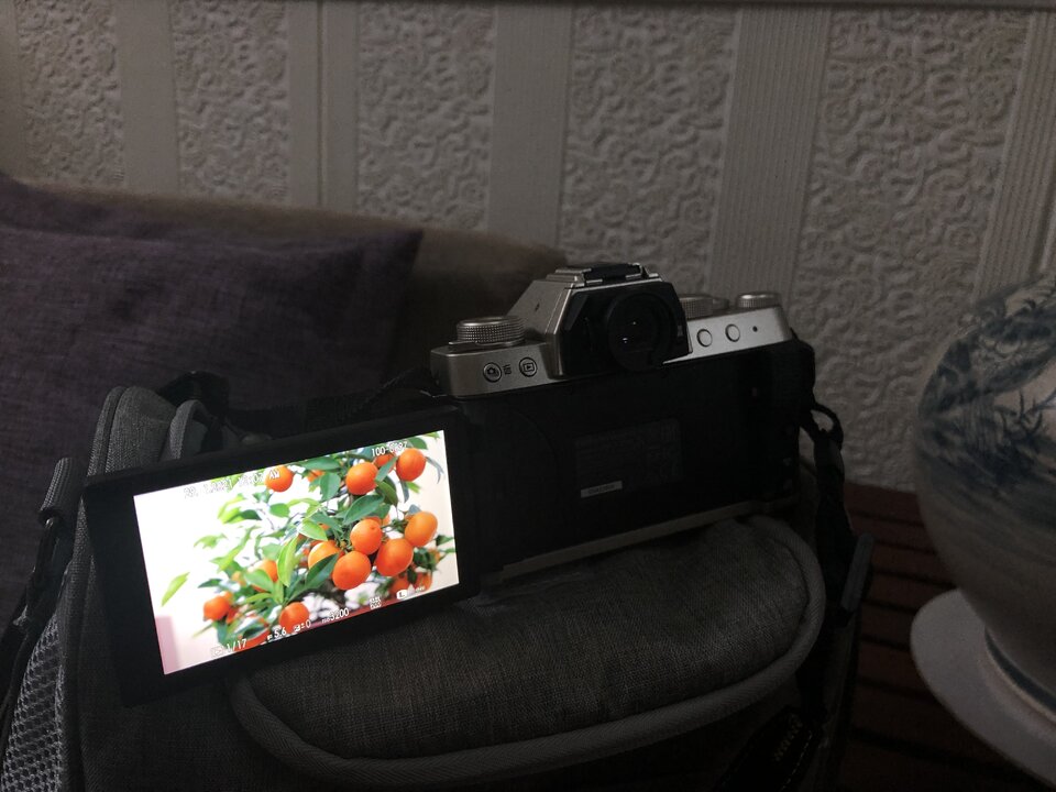 D49F93CE-383C-473C-9411-D4ED7BCDF2E0.jpeg
