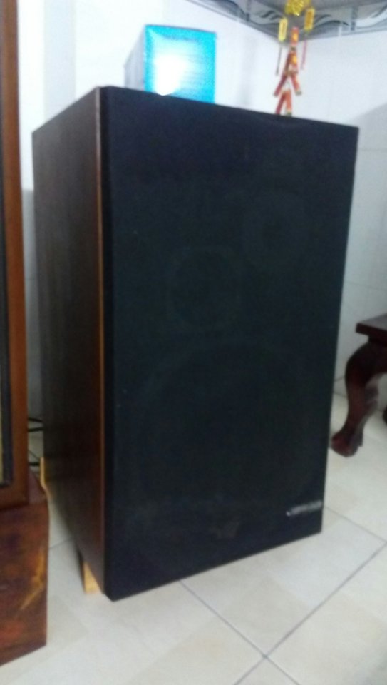 da2c2b789e2671782837.jpg
