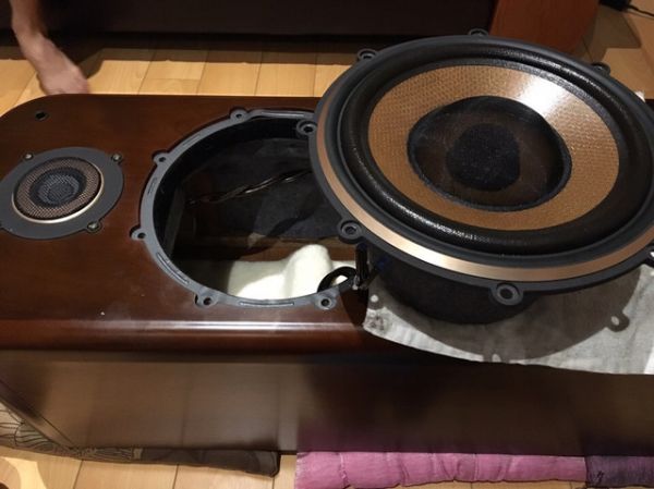 Diatone 6.jpg
