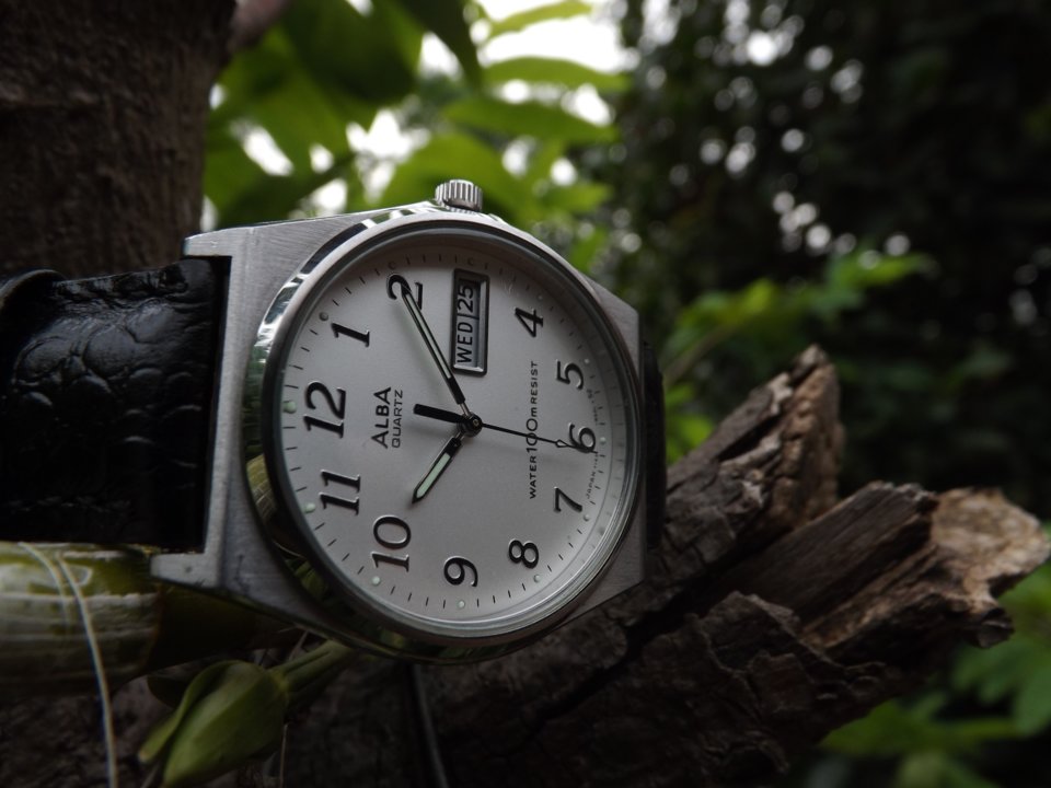 DSCF6378.JPG