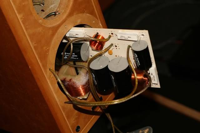 dynaudio 1.3 cross.jpg