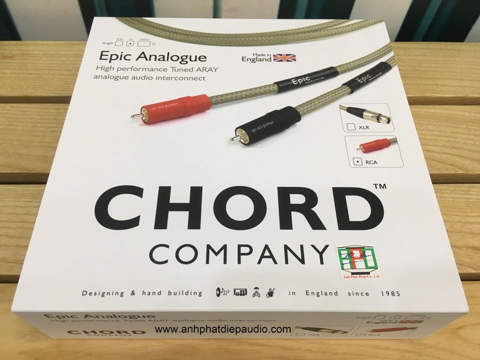 Epic analogue RCA UP 1.jpg