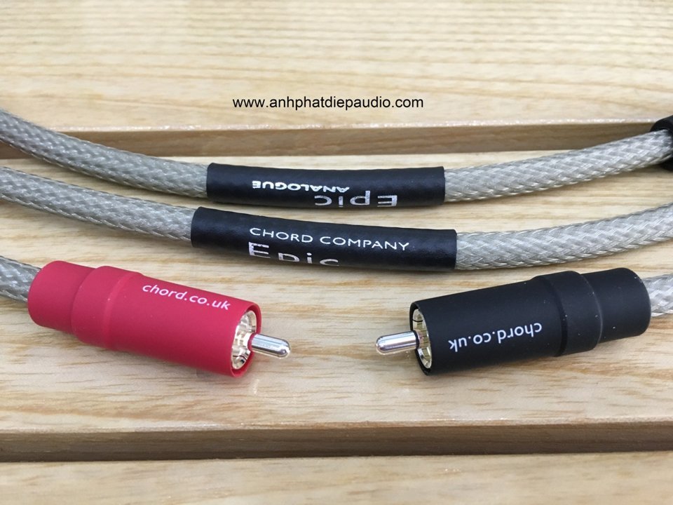 Epic analogue RCA UP 3.jpg