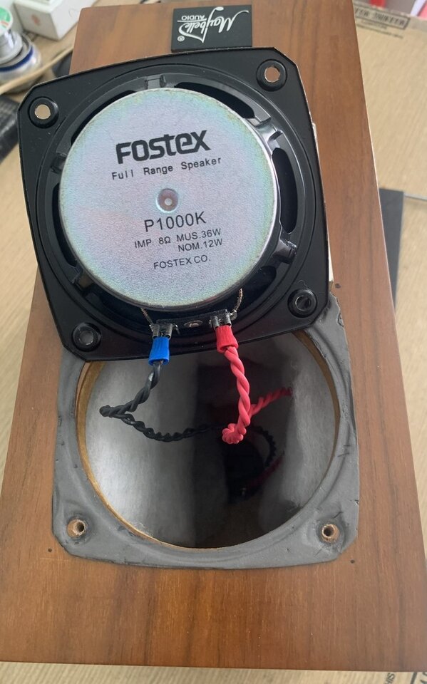 fostex 3.jpg