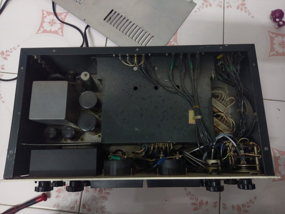 IMAG0271.jpg