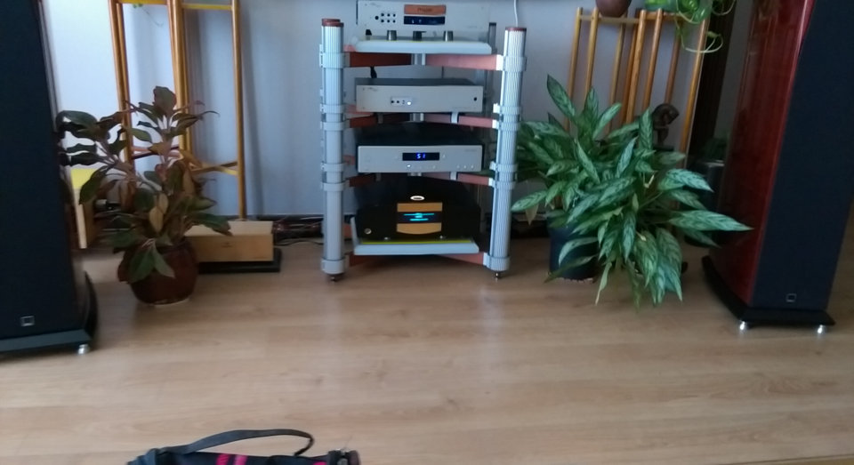 IMAG0445.jpg