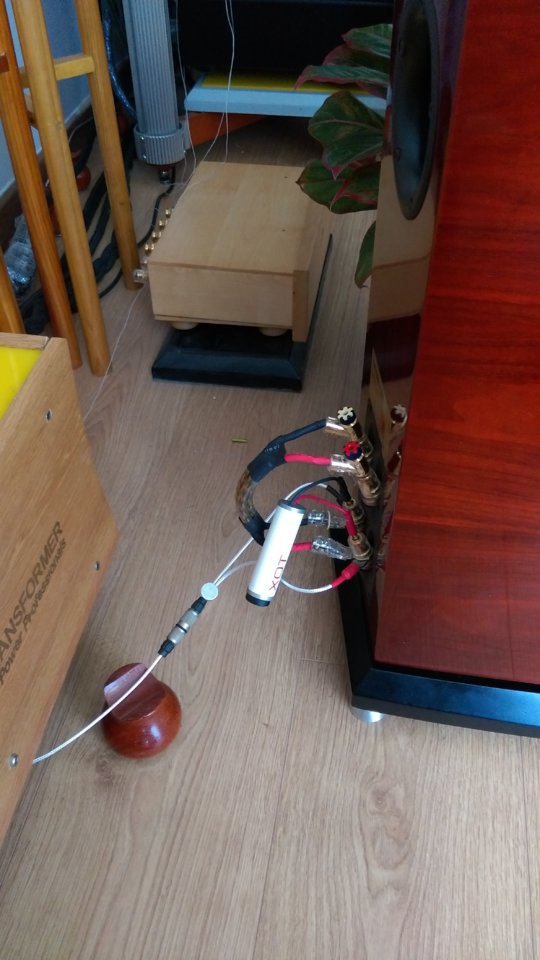 IMAG0446.jpg