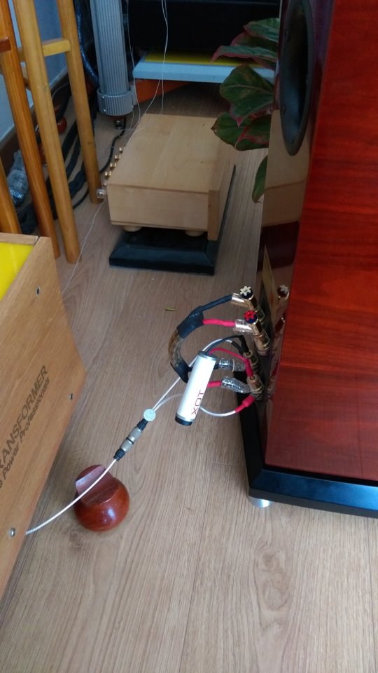 IMAG0447.jpg