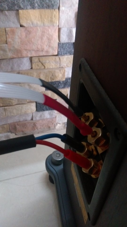 IMAG0451.jpg