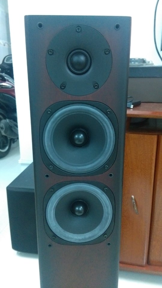 IMAG0566.jpg
