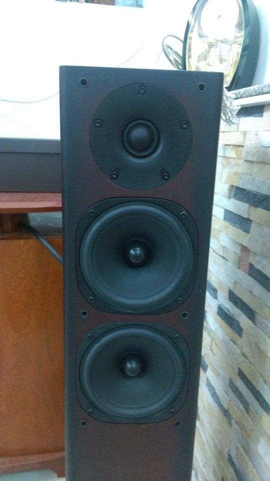 IMAG0567.jpg