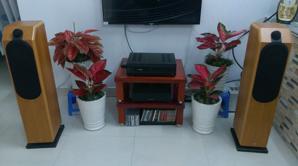 IMAG0944.jpg
