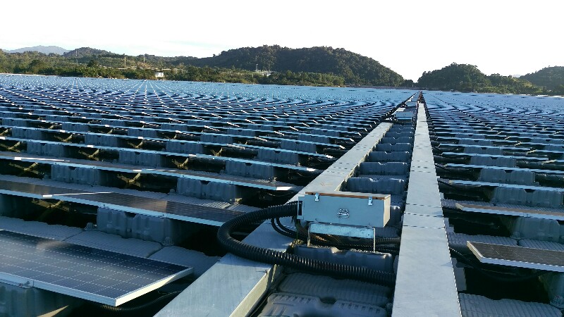 IMAG1033-800x450.jpg