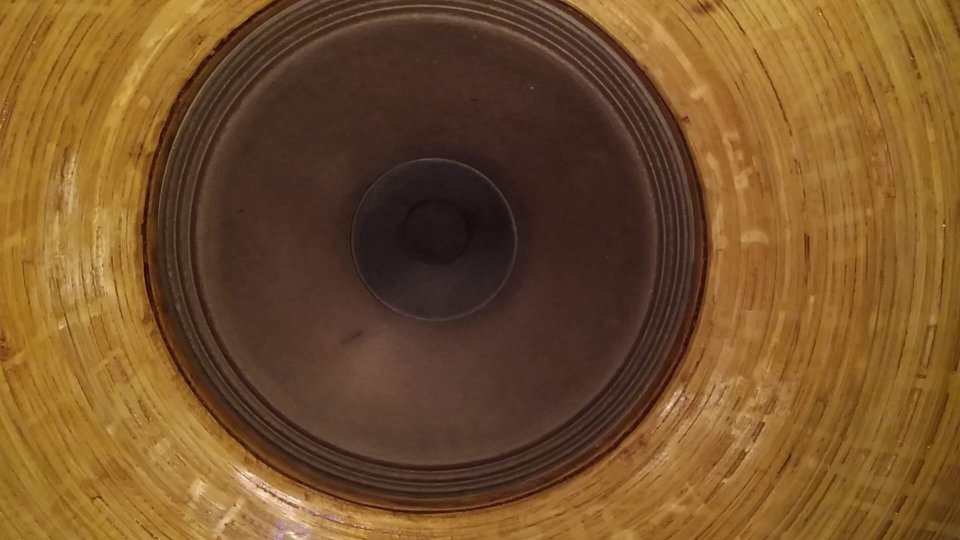 image1.jpeg