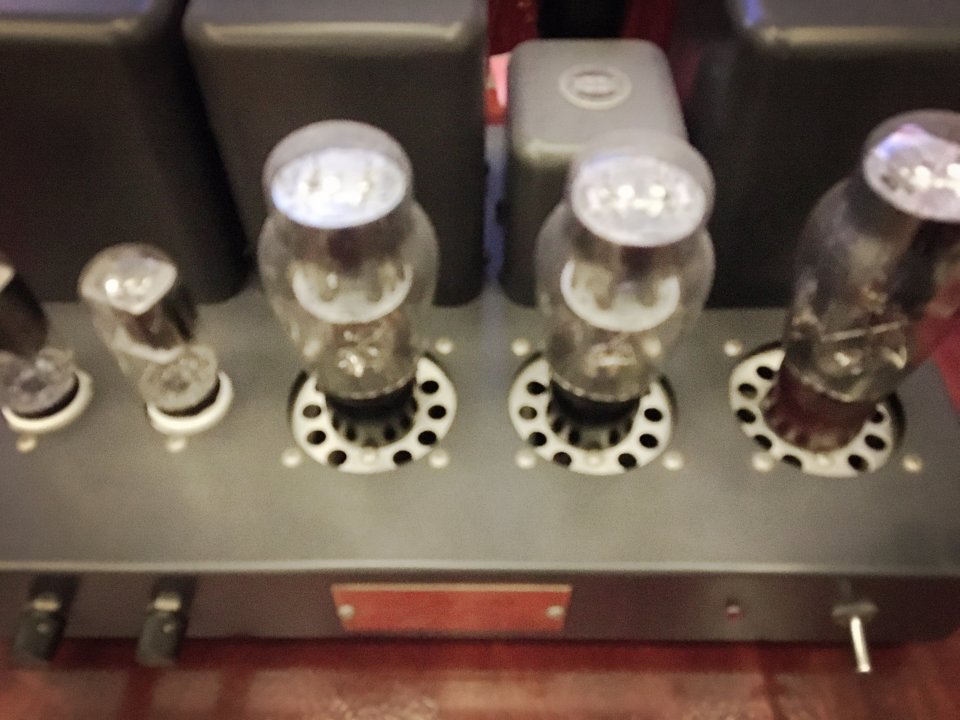 image1.jpeg