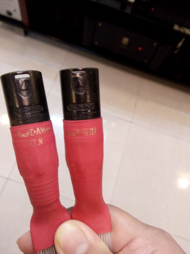 IMG20171025205530.jpg