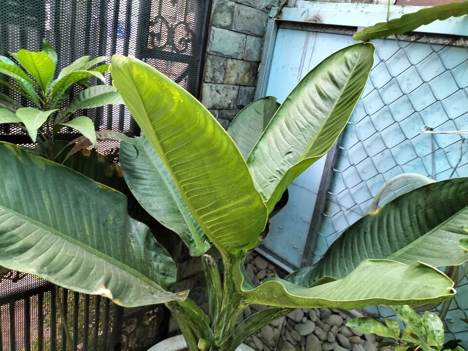 IMG20220509172902.jpg