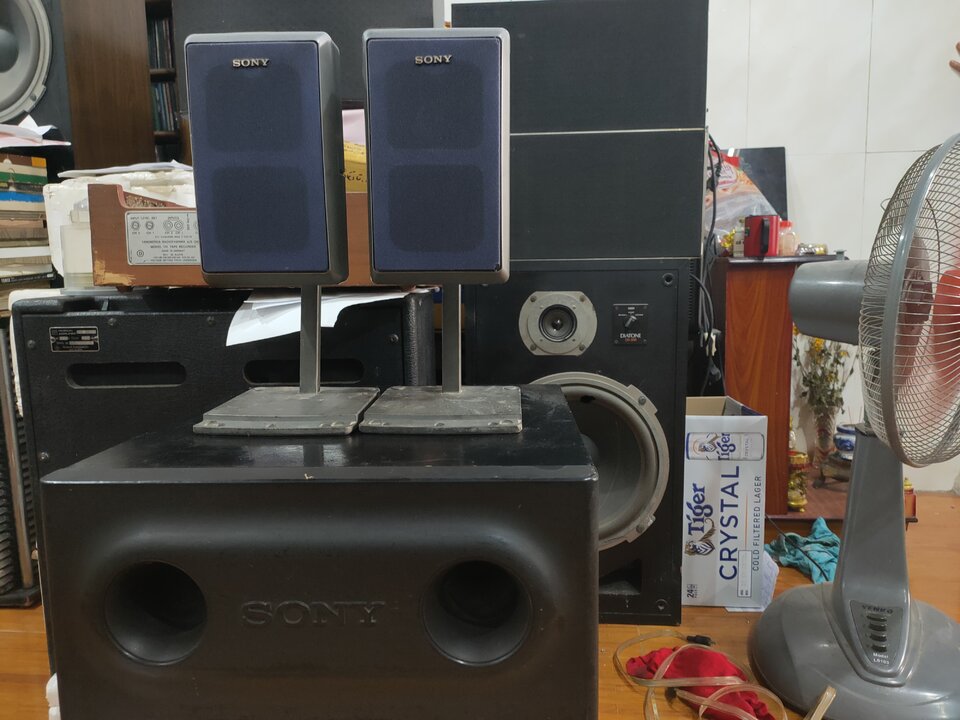 IMG20230402153802.jpg