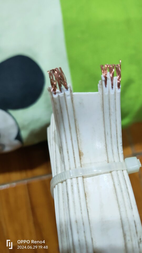 IMG20240629194828.jpg