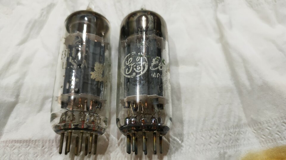 IMG20240720115506.jpg